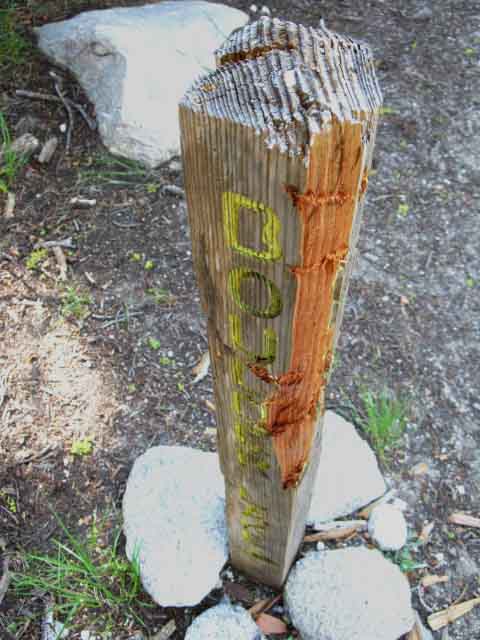 Boulder Lake trail junction freshly slashed in 2009
